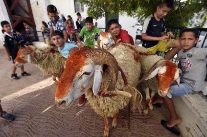 أطفال مع خراف عيد الأضحى (الصورة:Getty)