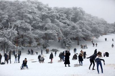  (الصورة: Getty) الحظيرة الوطنية الشريعة 