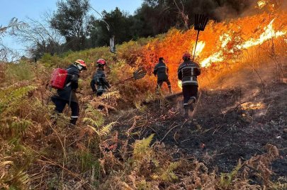 (الصورة: فيسبوك) حرائق في ولاية بجاية 