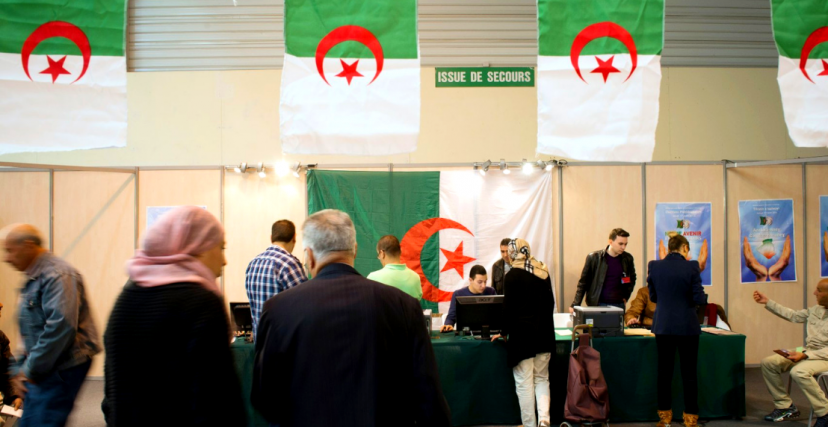 انتخابات الجالية الجزائرية (ألو بلادي)